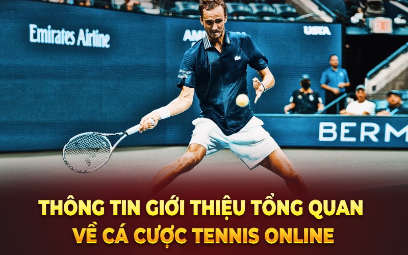 Thông tin giới thiệu tổng quan về cá cược Tennis Online